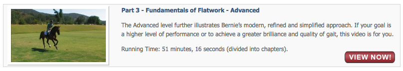 Fundamentals of Flatwork - Advanced
