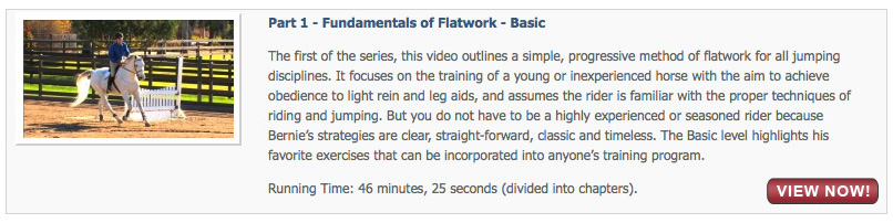 Fundamentals of Flatwork - Basic