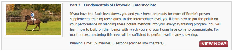 Fundamentals of Flatwork - Intermediate