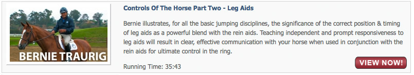 Controls of the Horse Part Two - Leg Aids