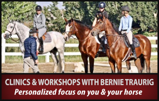 Clinics and workshops with Bernie